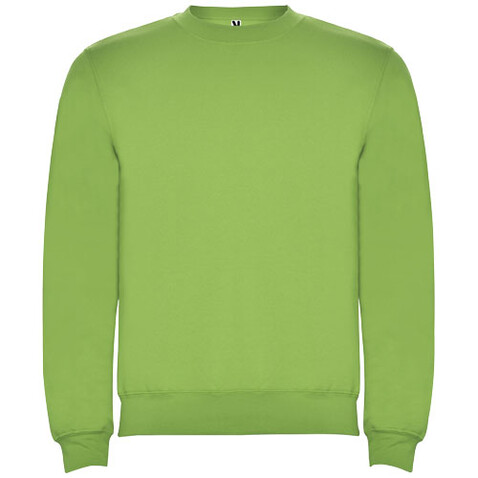 Clasica Sweatshirt mit Rundhalsausschnitt für Kinder, Oasis Green bedrucken, Art.-Nr. K10705RJ