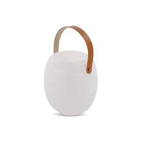 1626 | Coollux Mini Stimmungslicht und kabelloser Lautsprecher - Weiss bedrucken, Art.-Nr. LT40723-N0001