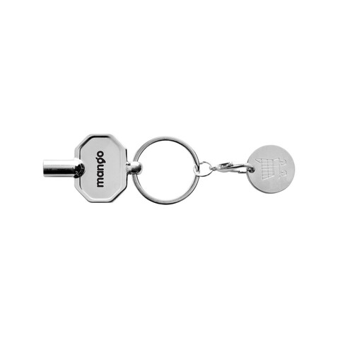 RCS Heizkörpschlüssel & Einkaufswagens-Chip am Schlüsselring silber bedrucken, Art.-Nr. P191.7002 RCS Heizkörpschlüssel & Einkaufswagens-Chip am Schlüsselring silber bedrucken, Art.-Nr. P191.7002