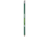 Alegra Bleistift mit farbigem Schaft, grün bedrucken, Art.-Nr. 10709806