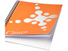 Desk-Mate® A5 Notizbuch mit Kunststoff Cover und Spiralbindung, weiss, schwarz bedrucken, Art.-Nr. 21271001