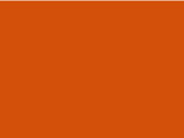 B &amp; C #E190 /women T-Shirt, Urban Orange, L bedrucken, Art.-Nr. 020424095