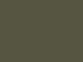 Tee Jays Raw Edge Tee, Olive, L bedrucken, Art.-Nr. 110545305