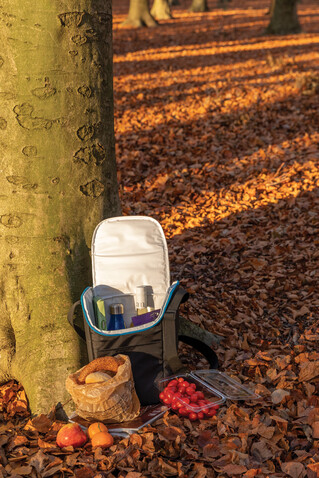 Explorer Handliche Outdoor Kühltasche schwarz, blau bedrucken, Art.-Nr. P422.321