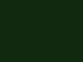 B & C #inspire E150 /women, Forest Green, XL bedrucken, Art.-Nr. 002425416 B & C #inspire E150 /women, Forest Green, XL bedrucken, Art.-Nr. 002425416