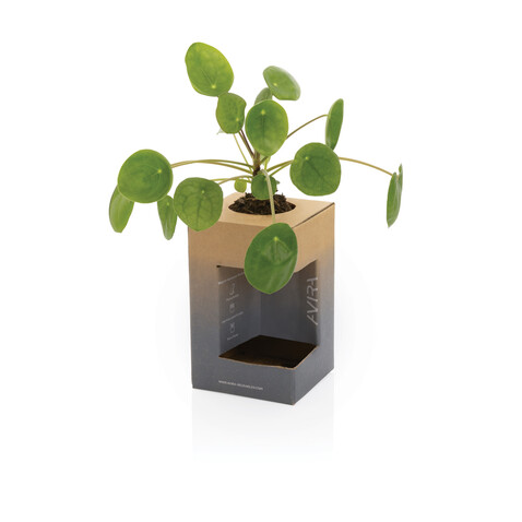 Avira Alya RCS recycelter Stainless-Steel Becher 300ml lila bedrucken, Art.-Nr. P438.029